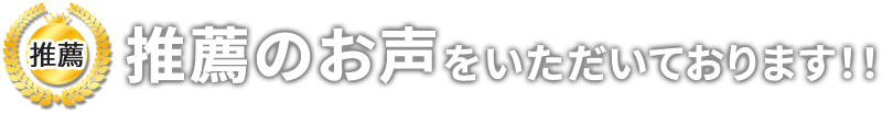 推薦の声